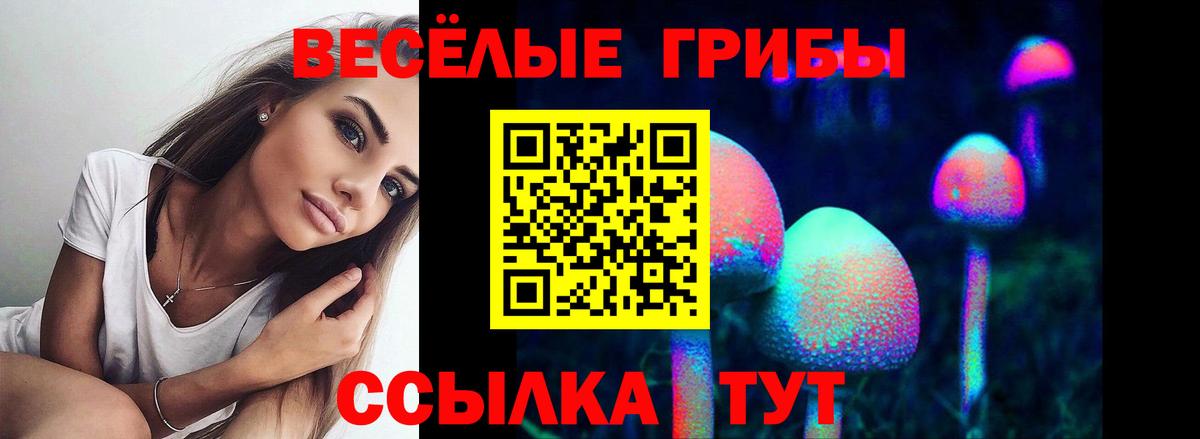 Рыбинск  Псилоцибиновые грибы Magic Shrooms  Вход с VPN 